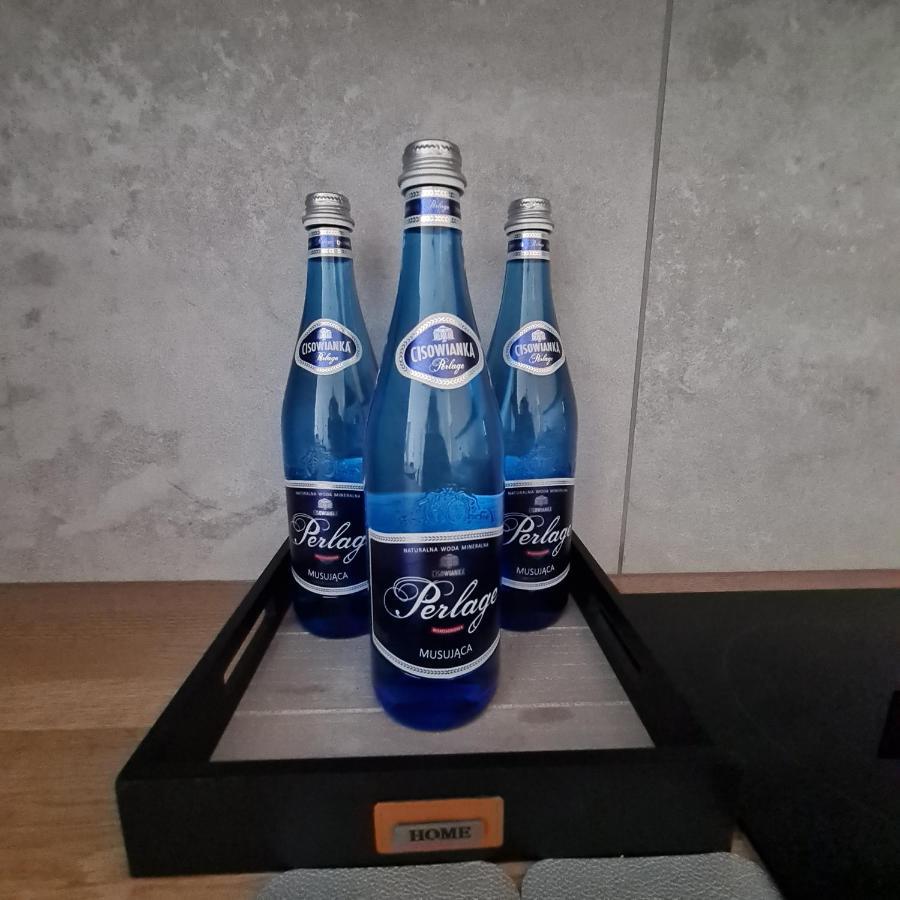 Mieszkanie W Nowoczesnym Halo Apartament W Centrum Wrocław Buitenkant foto